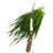 Fresh cut wheatgrass Icon